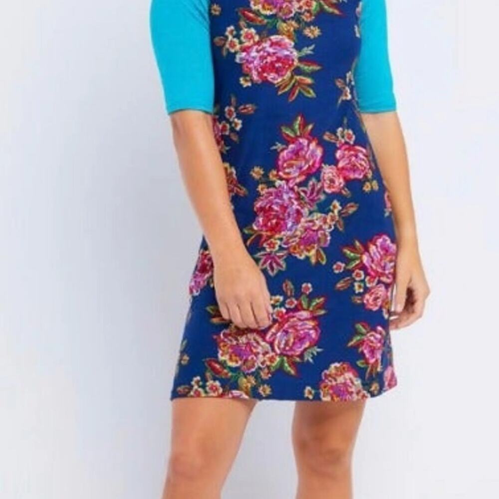 Piphany Stella Raglan Dress